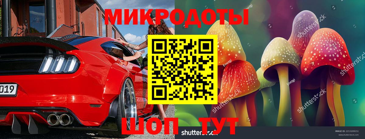 Дербент  Псилоцибиновые грибы прущие грибы  Вход с VPN 