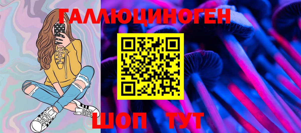 Псилоцибиновые грибы GOLDEN TEACHER Дербент